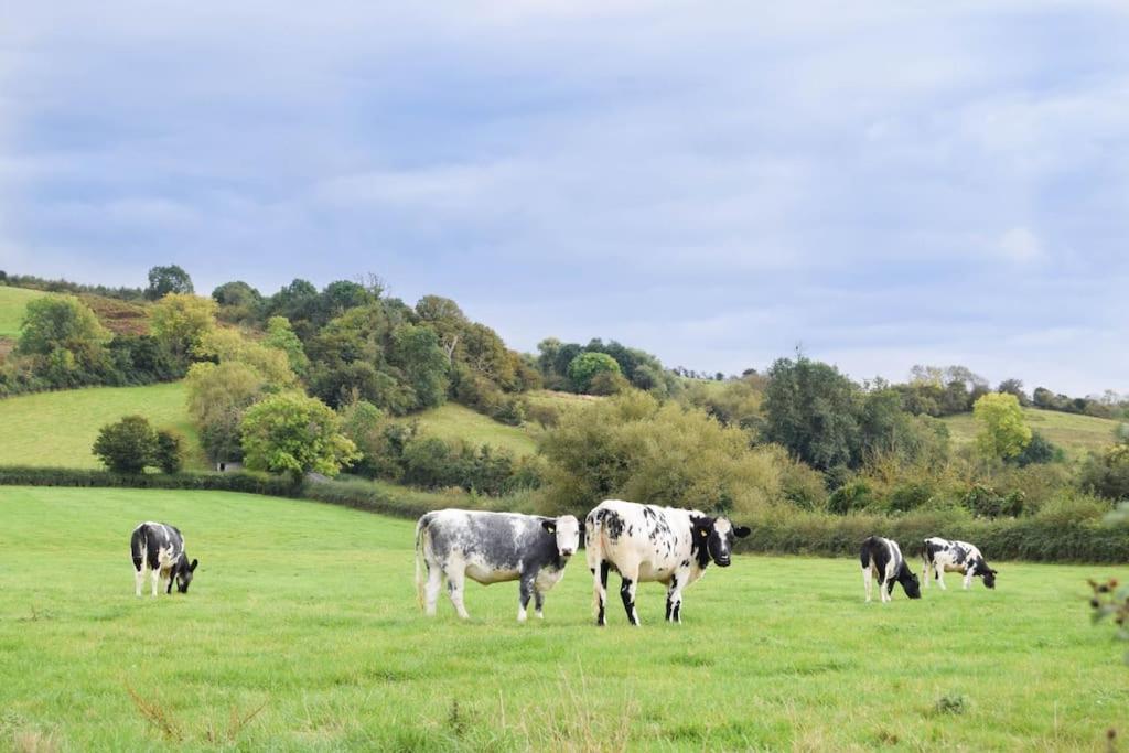 Nr Bicester Village 5 Star Luxury On Farm Piddington Exterior foto